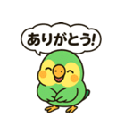 おしゃべりインコの毎日スタンプ（個別スタンプ：2）