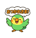 おしゃべりインコの毎日スタンプ（個別スタンプ：4）