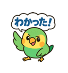おしゃべりインコの毎日スタンプ（個別スタンプ：9）