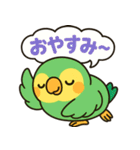 おしゃべりインコの毎日スタンプ（個別スタンプ：10）