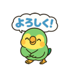 おしゃべりインコの毎日スタンプ（個別スタンプ：12）
