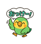 おしゃべりインコの毎日スタンプ（個別スタンプ：13）