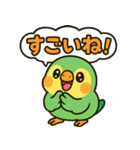 おしゃべりインコの毎日スタンプ（個別スタンプ：17）