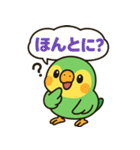 おしゃべりインコの毎日スタンプ（個別スタンプ：18）
