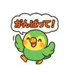 おしゃべりインコの毎日スタンプ（個別スタンプ：20）