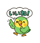 おしゃべりインコの毎日スタンプ（個別スタンプ：22）