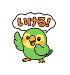 おしゃべりインコの毎日スタンプ（個別スタンプ：28）