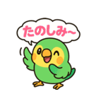 おしゃべりインコの毎日スタンプ（個別スタンプ：30）
