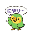 おしゃべりインコの毎日スタンプ（個別スタンプ：31）