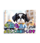 ぼくはシーズーです（個別スタンプ：17）