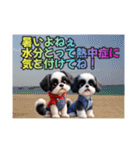 ぼくはシーズーです（個別スタンプ：20）
