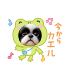 ぼくはシーズーです（個別スタンプ：25）