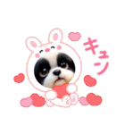 ぼくはシーズーです（個別スタンプ：27）