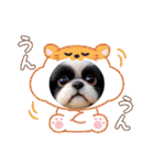 ぼくはシーズーです（個別スタンプ：28）