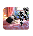 ぼくはシーズーです（個別スタンプ：39）