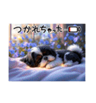 ぼくはシーズーです（個別スタンプ：40）