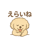 愛犬マルプー茶々丸くん（個別スタンプ：2）