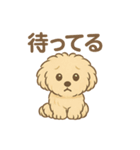 愛犬マルプー茶々丸くん（個別スタンプ：3）