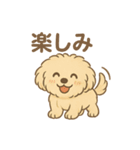愛犬マルプー茶々丸くん（個別スタンプ：4）