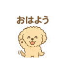 愛犬マルプー茶々丸くん（個別スタンプ：6）