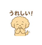 愛犬マルプー茶々丸くん（個別スタンプ：10）