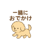 愛犬マルプー茶々丸くん（個別スタンプ：11）