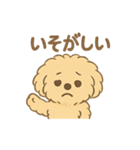 愛犬マルプー茶々丸くん（個別スタンプ：12）