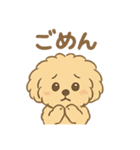 愛犬マルプー茶々丸くん（個別スタンプ：13）