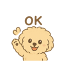 愛犬マルプー茶々丸くん（個別スタンプ：15）