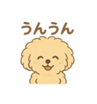 愛犬マルプー茶々丸くん（個別スタンプ：16）