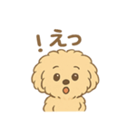 愛犬マルプー茶々丸くん（個別スタンプ：17）
