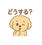 愛犬マルプー茶々丸くん（個別スタンプ：18）