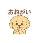 愛犬マルプー茶々丸くん（個別スタンプ：19）