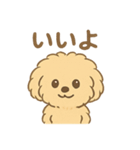 愛犬マルプー茶々丸くん（個別スタンプ：20）