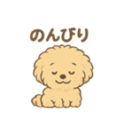 愛犬マルプー茶々丸くん（個別スタンプ：22）