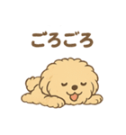 愛犬マルプー茶々丸くん（個別スタンプ：23）