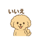 愛犬マルプー茶々丸くん（個別スタンプ：24）