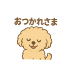愛犬マルプー茶々丸くん（個別スタンプ：25）