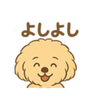 愛犬マルプー茶々丸くん（個別スタンプ：28）