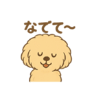 愛犬マルプー茶々丸くん（個別スタンプ：29）