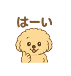 愛犬マルプー茶々丸くん（個別スタンプ：30）