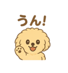 愛犬マルプー茶々丸くん（個別スタンプ：31）