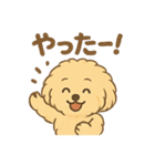 愛犬マルプー茶々丸くん（個別スタンプ：33）