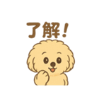 愛犬マルプー茶々丸くん（個別スタンプ：34）
