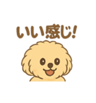 愛犬マルプー茶々丸くん（個別スタンプ：35）