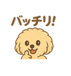 愛犬マルプー茶々丸くん（個別スタンプ：37）
