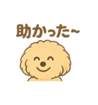 愛犬マルプー茶々丸くん（個別スタンプ：38）