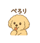 愛犬マルプー茶々丸くん（個別スタンプ：39）