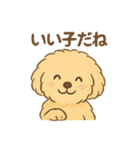 愛犬マルプー茶々丸くん（個別スタンプ：40）