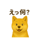 黄金秋田犬スタンプ（個別スタンプ：4）